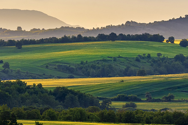 可降解的紙膠帶是怎么煉成的？